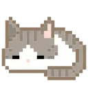 🐈