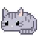 🐈