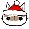 🐱