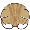 🐱