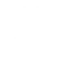 🐜