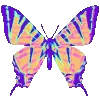 🦋