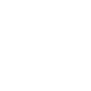 🌷