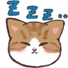 😴