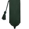 🎙️
