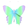 🦋
