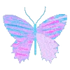 🦋