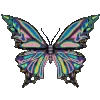 🦋