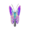 🦋