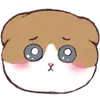 🥺