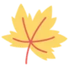 🍁