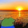 🌅