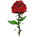 🌹