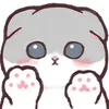 🐱