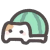 🐢