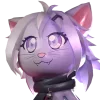 🐱