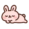 🐰