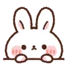 🐰