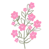 🌷