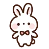 🐰
