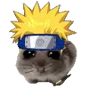 🐹