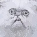 😭