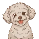 🐩