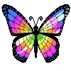 🦋