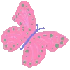 🦋