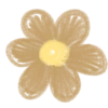 🌺