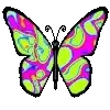 🦋