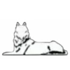🐺