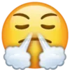 😤