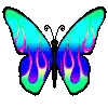 🦋