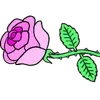 🌹