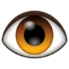 👁