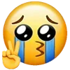 ✌️