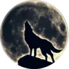 🐺