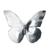 🦋