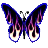🦋