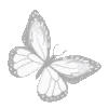 🦋