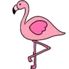 🦩