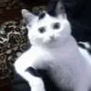 😳