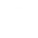🔒