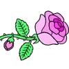 🌹