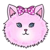 🐱