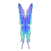 🦋
