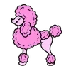 🐩