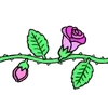 🌹