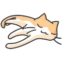 🐈